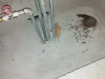 沂源卫生间测漏水价格明细